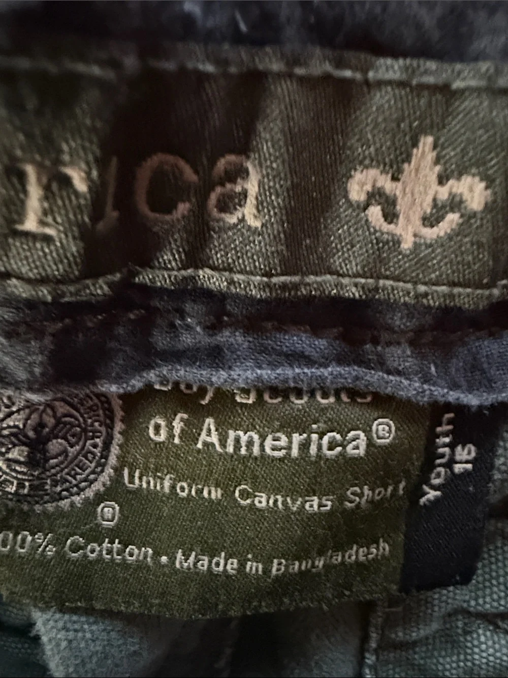 Boy, size 16 shorts Boy Scouts of America green Cargo Shorts for Kids